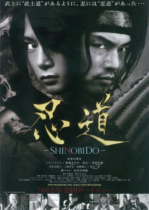 Póster de Shinobido