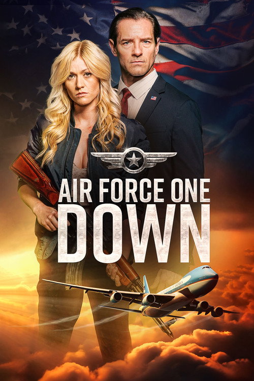 Póster de Air Force One Down