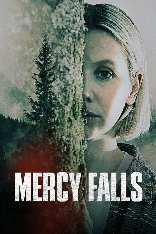 Póster de Mercy Falls