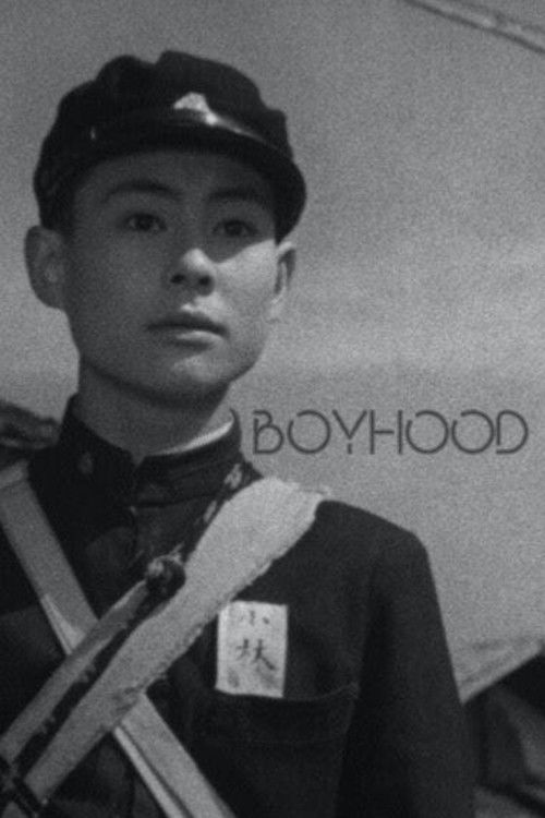 Póster de Boyhood