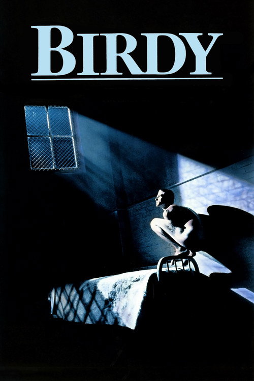 Póster de Birdy