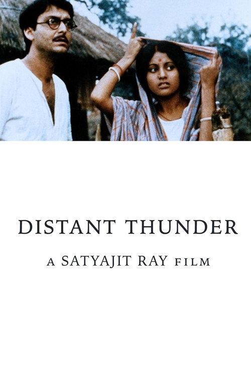 Póster de Distant Thunder