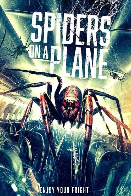 Pôster de Spiders on a Plane