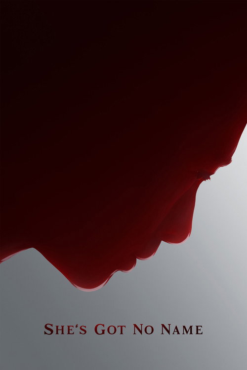 Póster de She's Got No Name