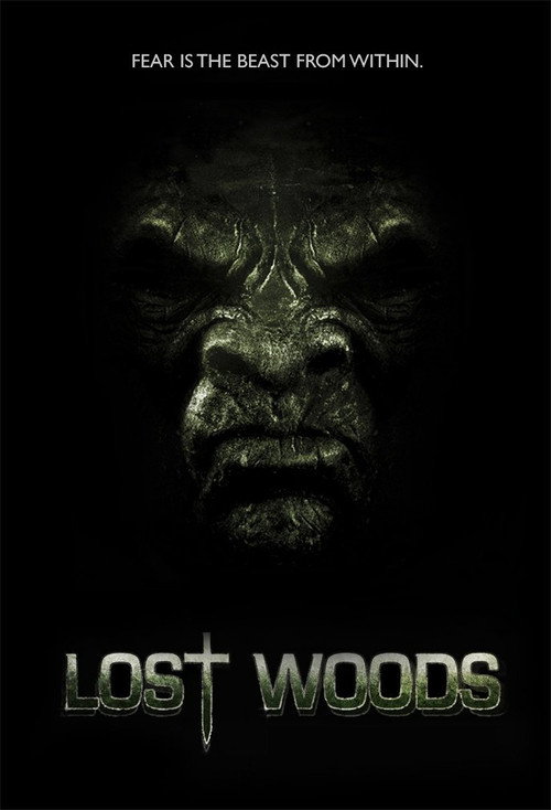 Póster de Lost Woods
