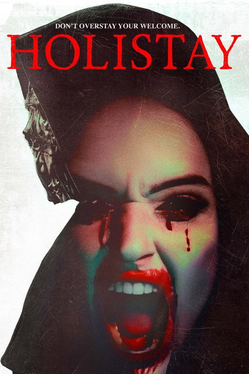 Póster de Holistay