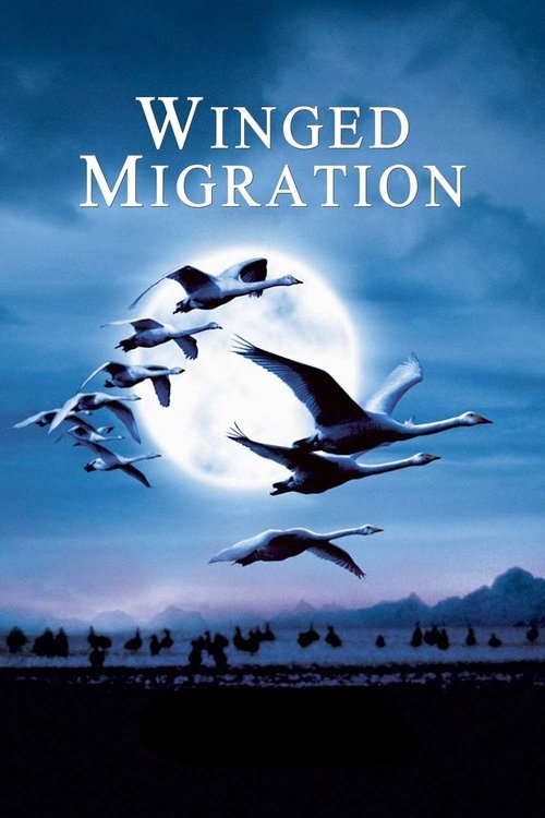 Póster de Winged Migration