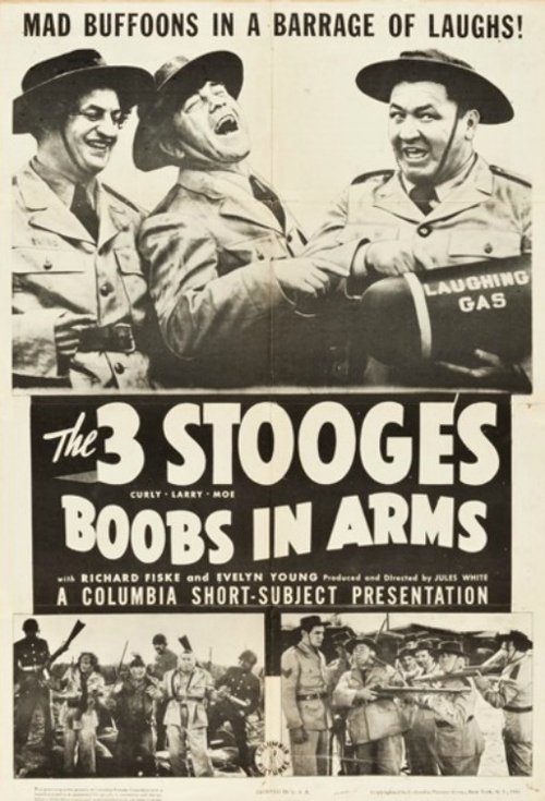 Póster de Boobs in Arms