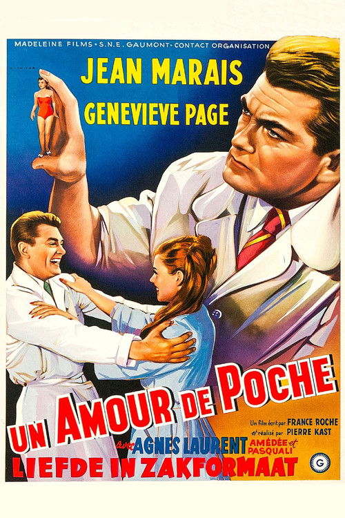 Póster de A Girl in a Pocket