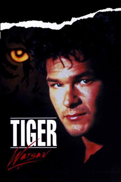 Locandina di Il ritorno di Tiger