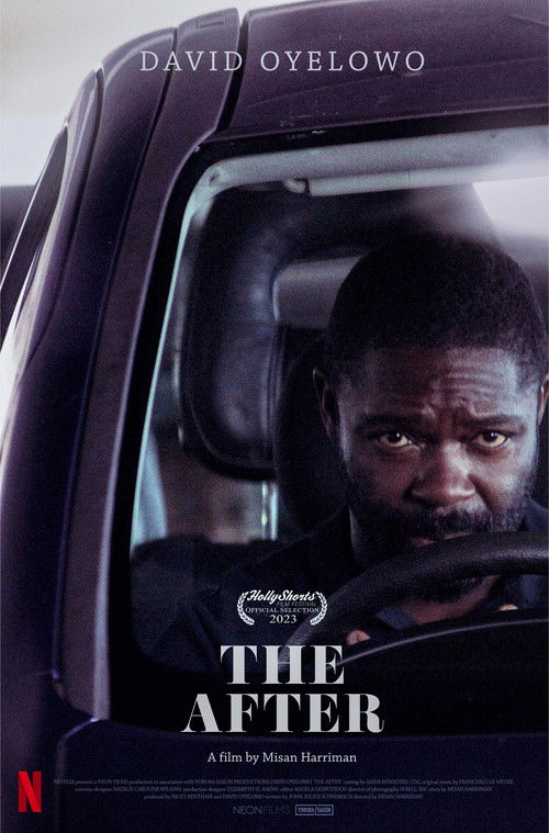 Póster de The After