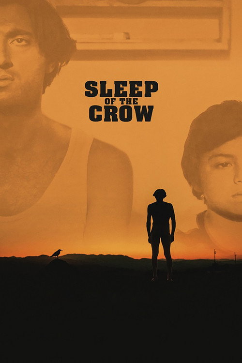Póster de Sleep of the Crow