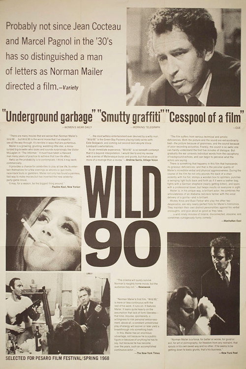 Póster de Wild 90