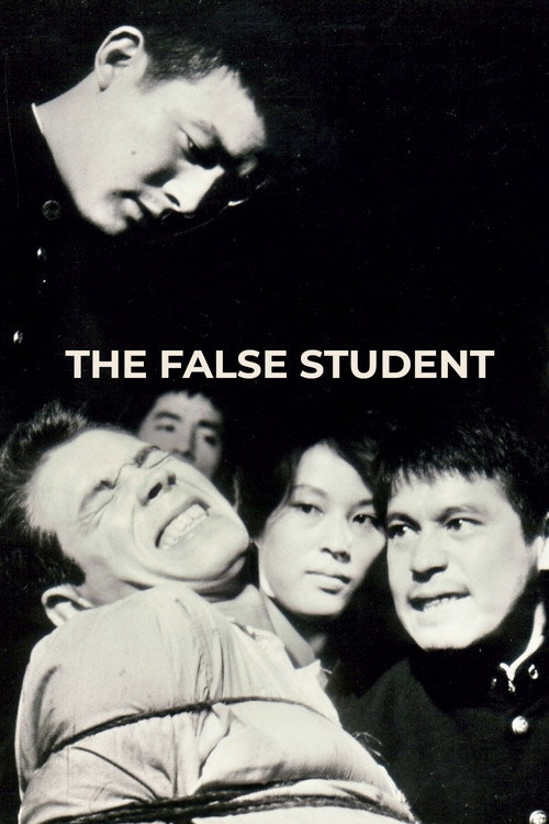 Póster de The False Student