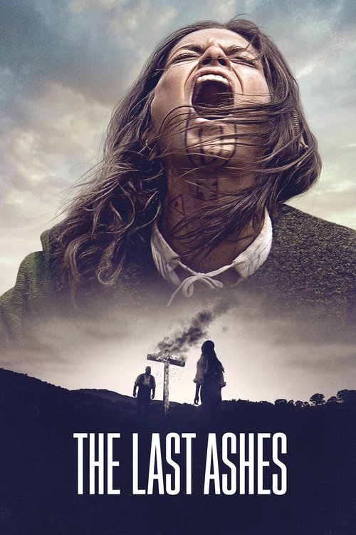 Póster de The Last Ashes
