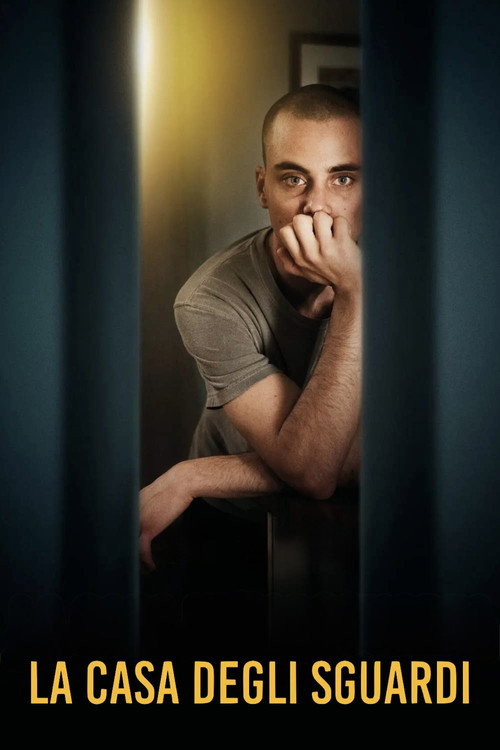 Póster de The House of Looks