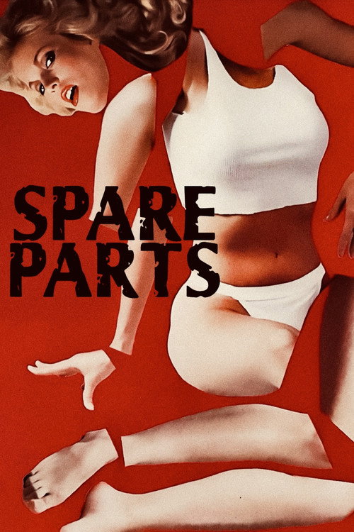 Locandina di Spare Parts