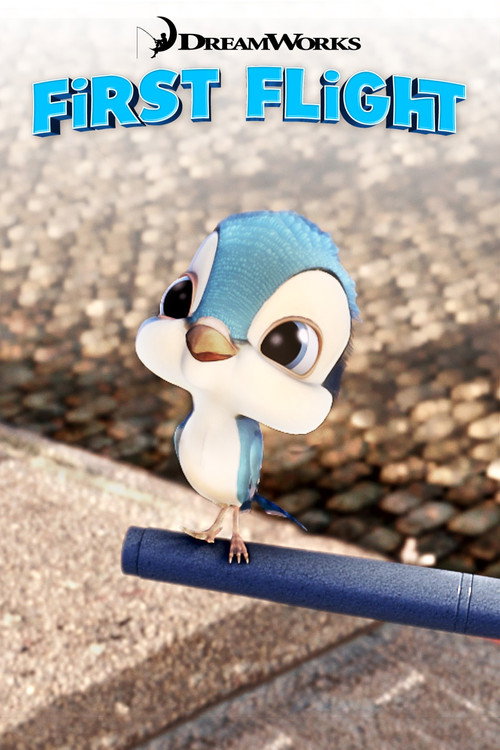 Póster de First Flight