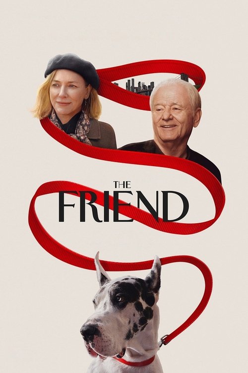 Póster de The Friend