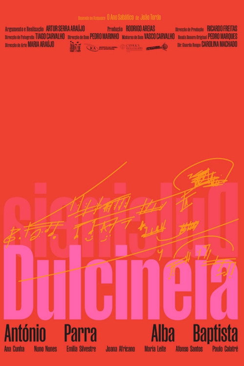 Póster de Dulcineia
