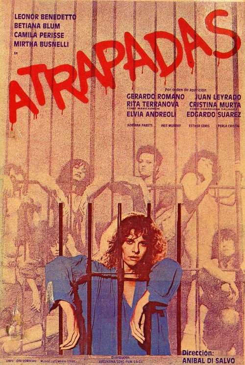 Póster de Atrapadas