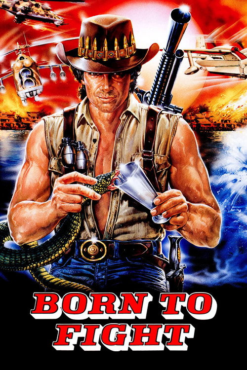 Póster de Born to Fight
