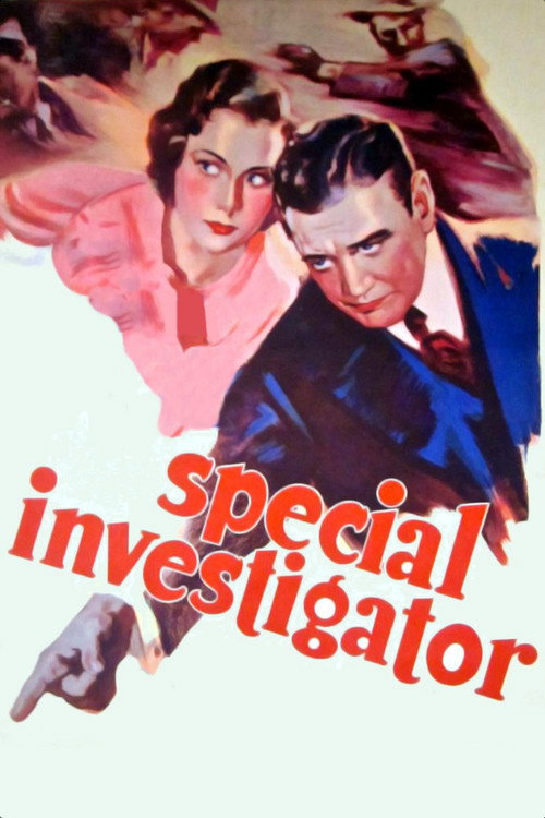 Poster von Special Investigator