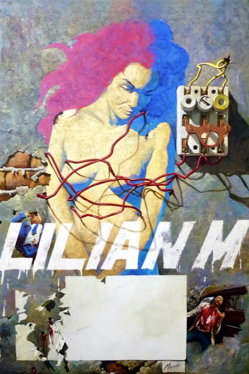 Póster de Lilian M: Confidential Report