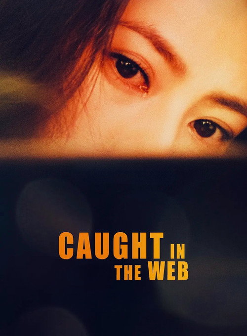 Póster de Caught in the Web