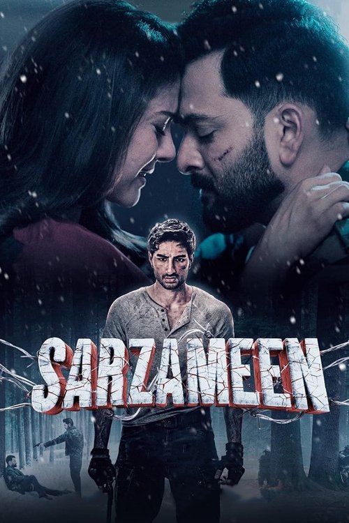 Póster de Sarzameen