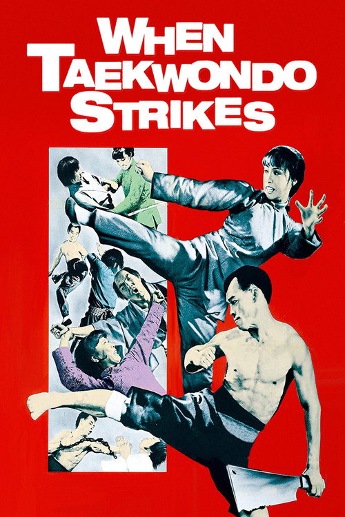 Póster de When Taekwondo Strikes