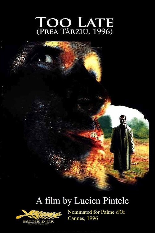 Póster de Too Late