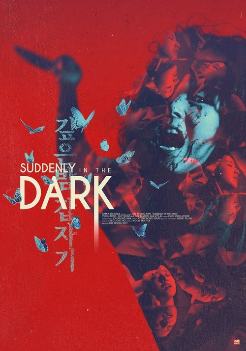 Póster de Suddenly in the Dark