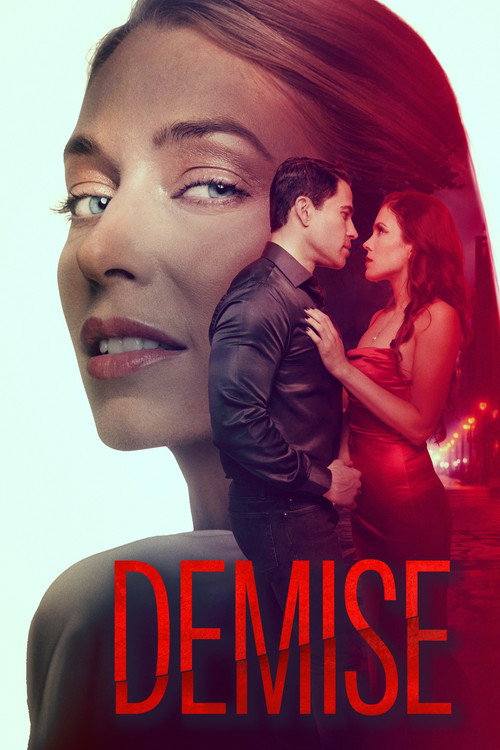 Póster de Demise