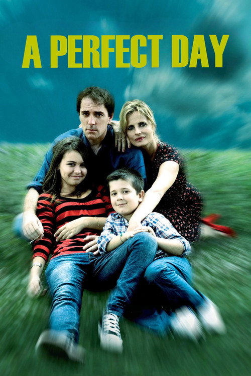 Póster de A Perfect Day