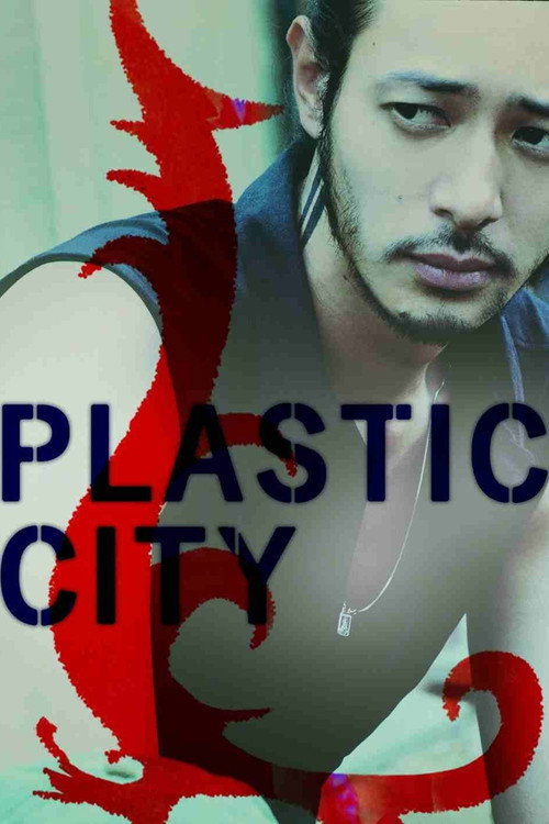 Póster de Plastic City