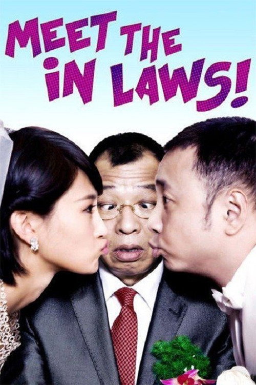 Póster de Meet the In Laws