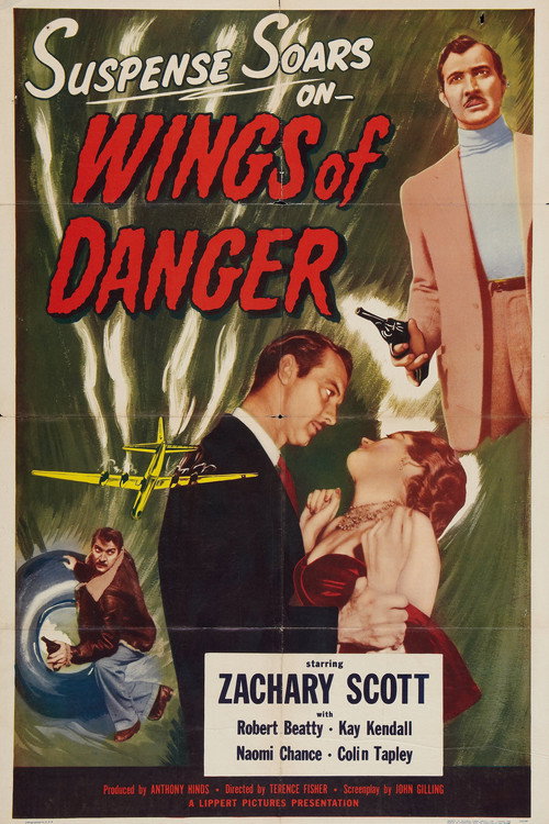 Póster de Wings of Danger