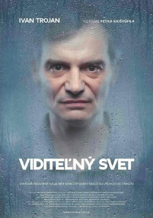 Póster de Visible World