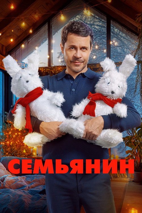 Póster de The Family Man