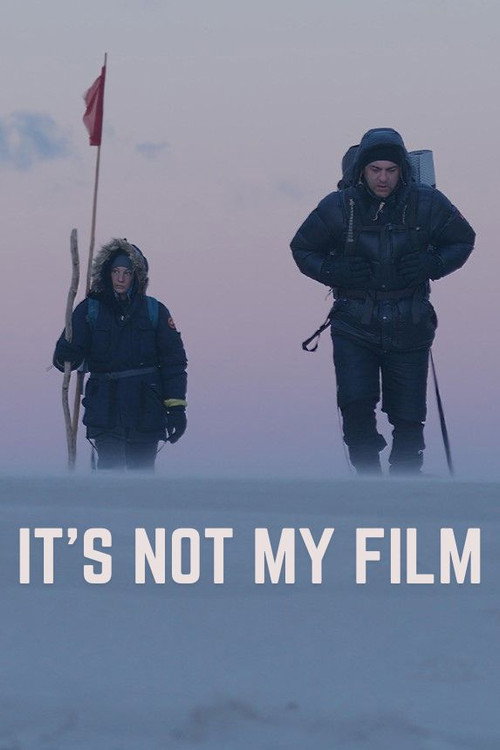 Póster de It's Not My Film