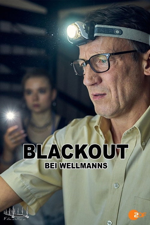 Locandina di Blackout bei Wellmanns