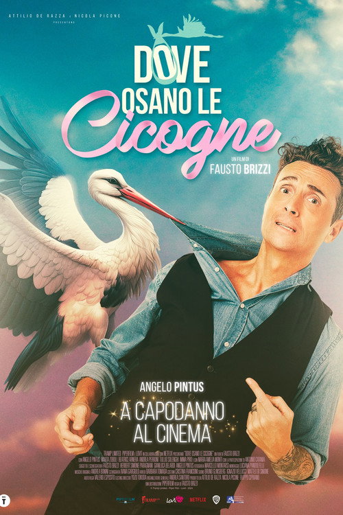 Póster de Where Storks Dare