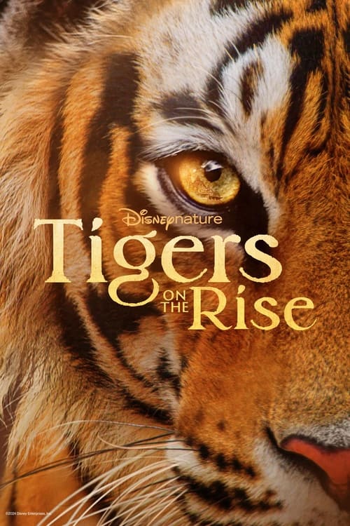Póster de Tigers on the Rise