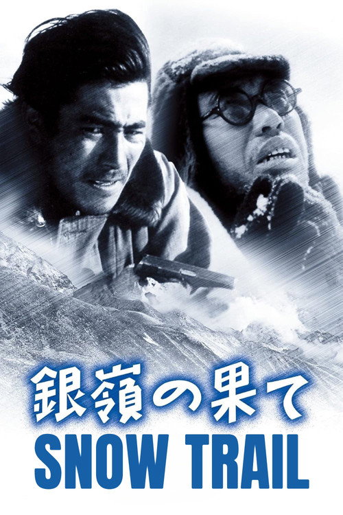 Póster de Snow Trail