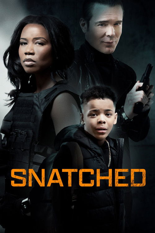 Póster de Snatched