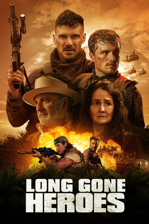 Póster de Long Gone Heroes
