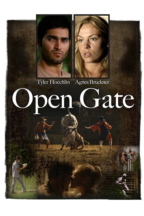 Locandina di Open Gate