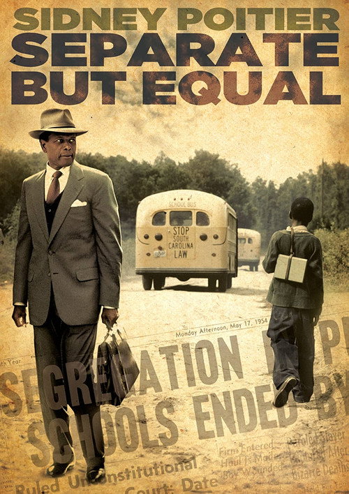 Pôster de Separate but Equal