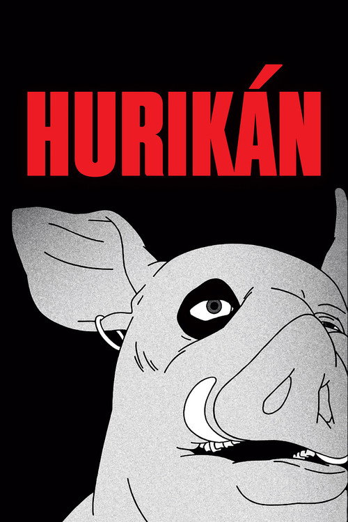 Póster de Huricane